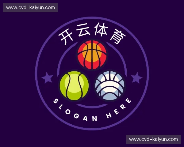 了解云开体育官网